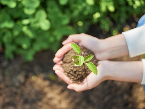 LCST wastewater treatment technology