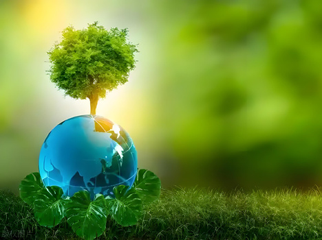 LM High Efficiency Infiltration Subsurface Flow Constructed Wetland System